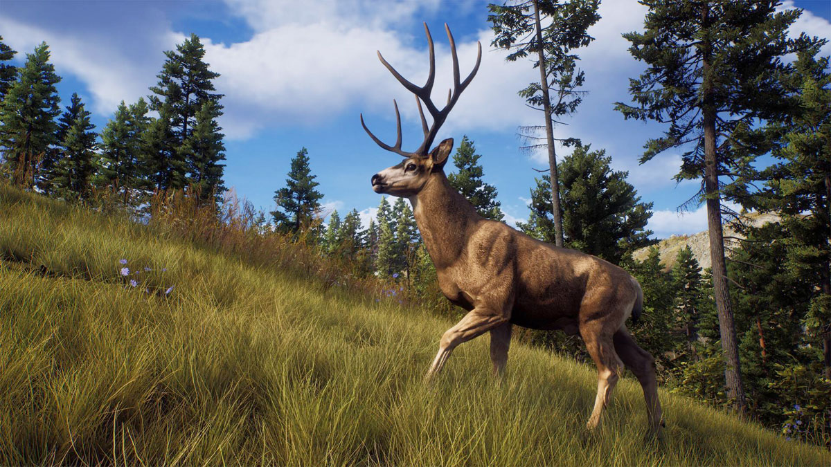 The Way of the Hunter PS5 hra v češtině The Way of the Hunter PS5 hra v češtině
