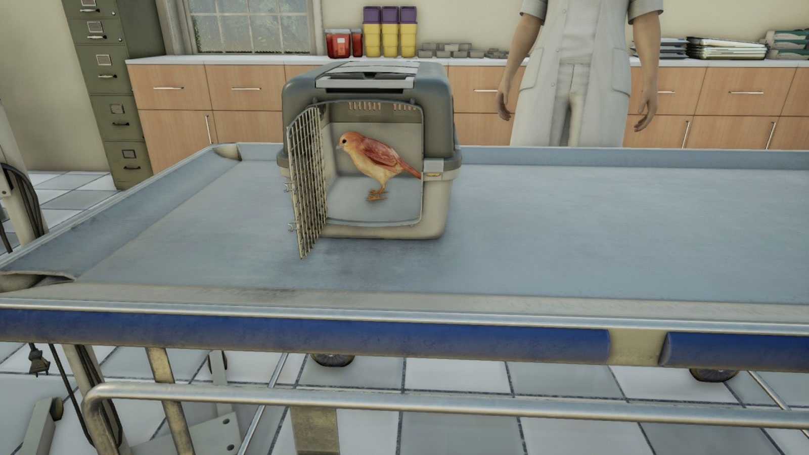 Animal Doctor PS4