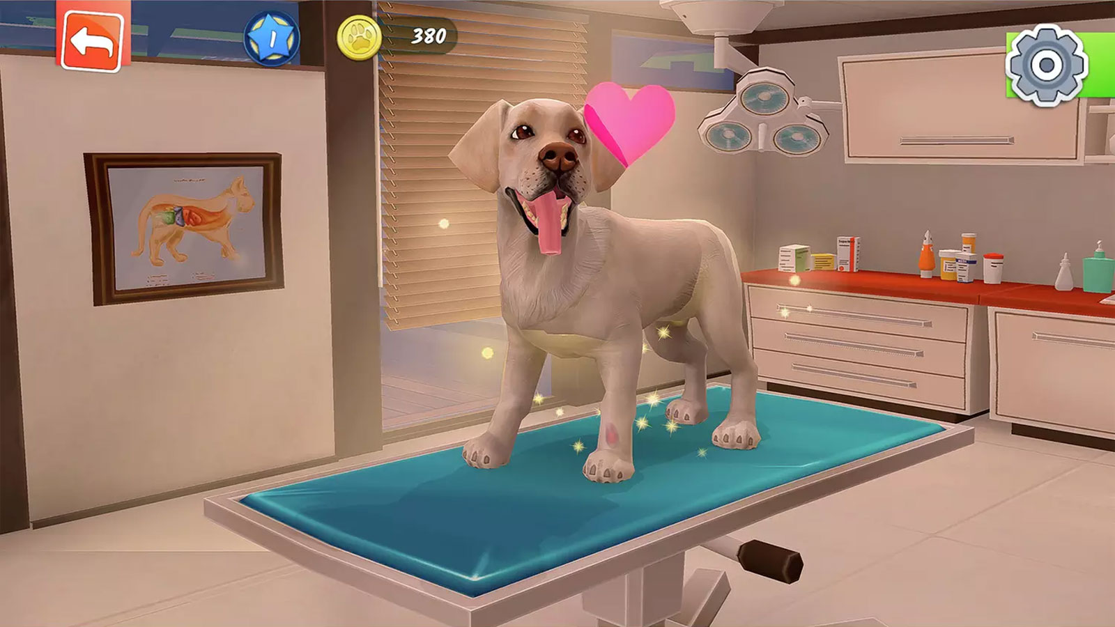 Animal Hospital PS4