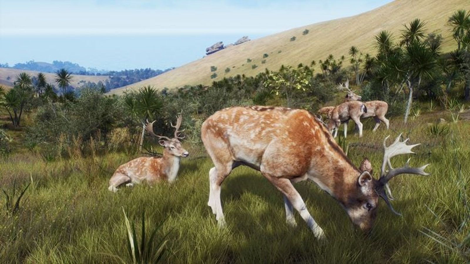Way of the Hunter Wild Expeditions PS5 CZ