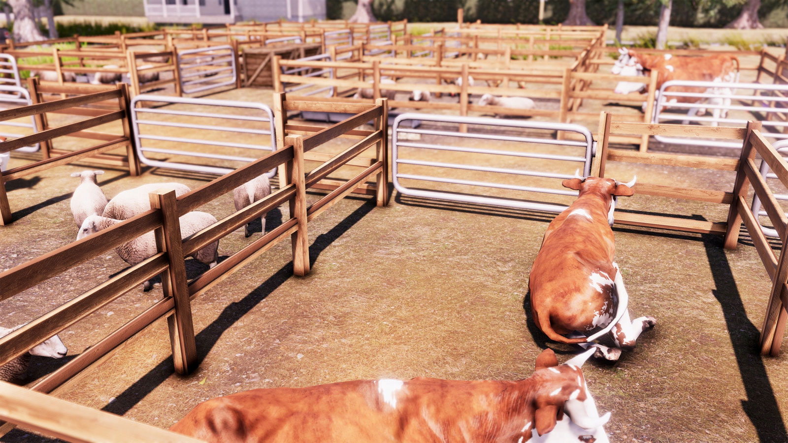 Real Farm Premium Edition PS5