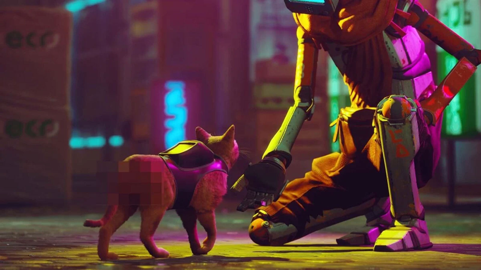 Stray PS5