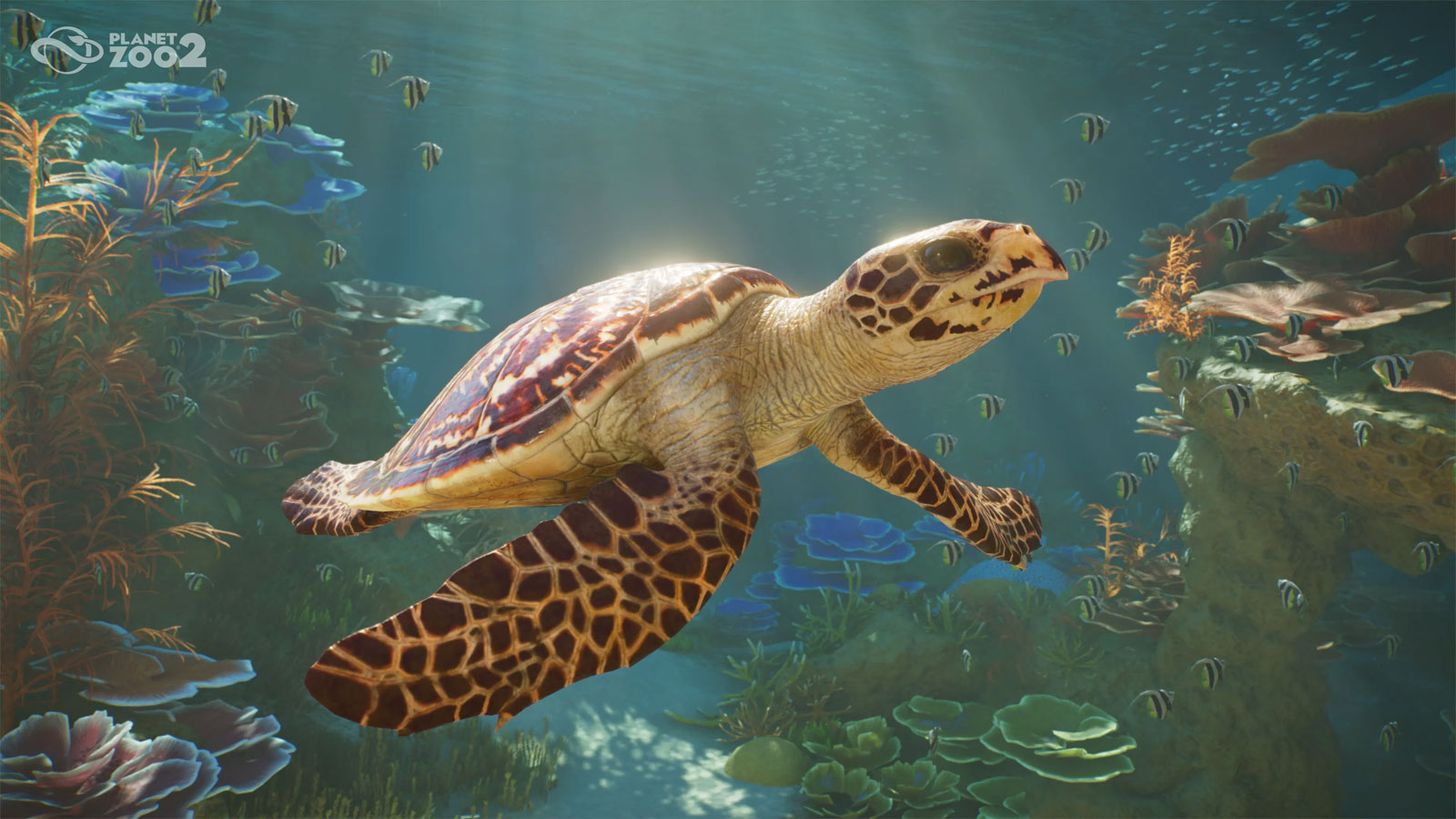 Planet Zoo 2 PS5 CZ - předobjednávka