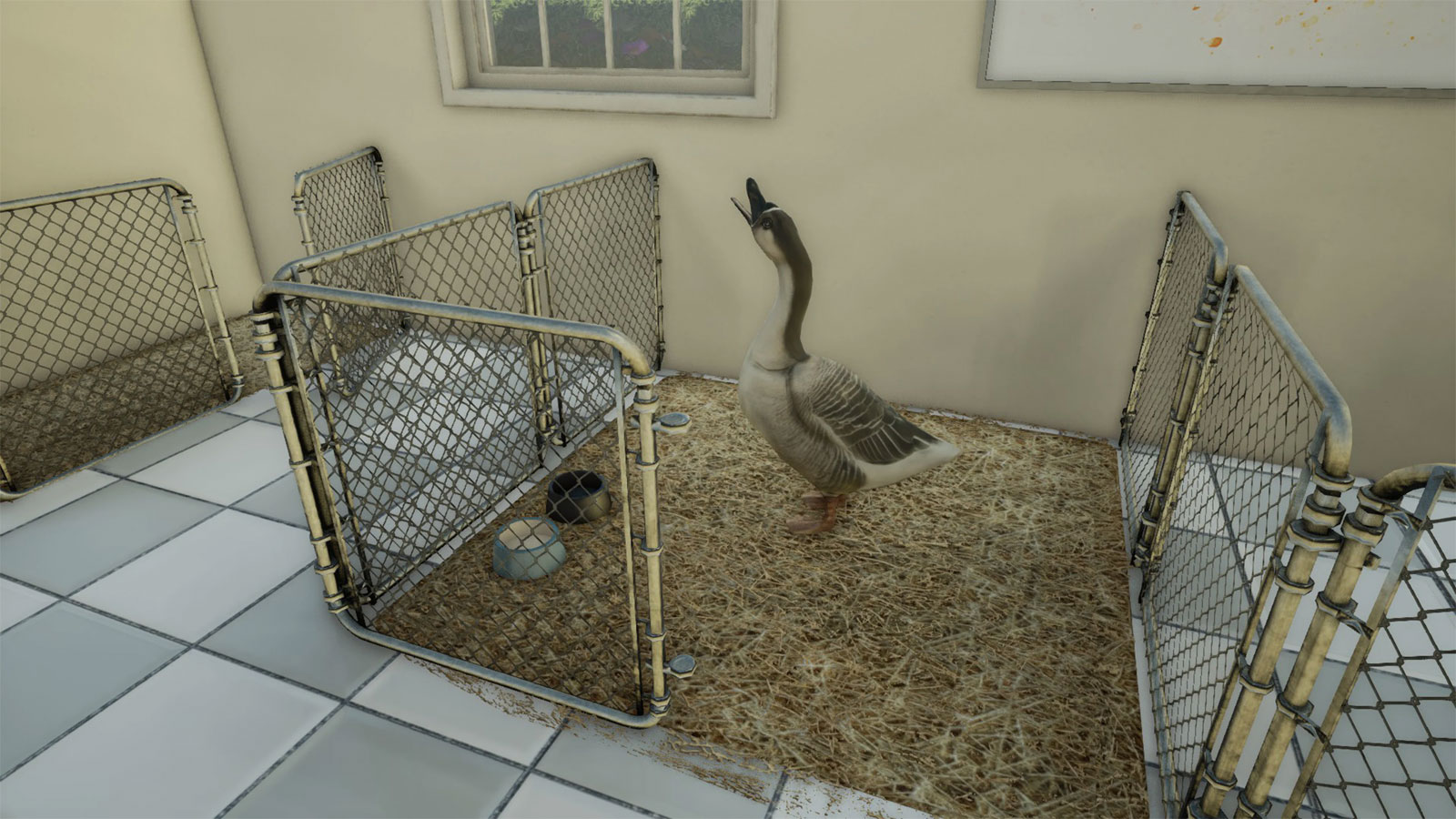 Animal Doctor PS4