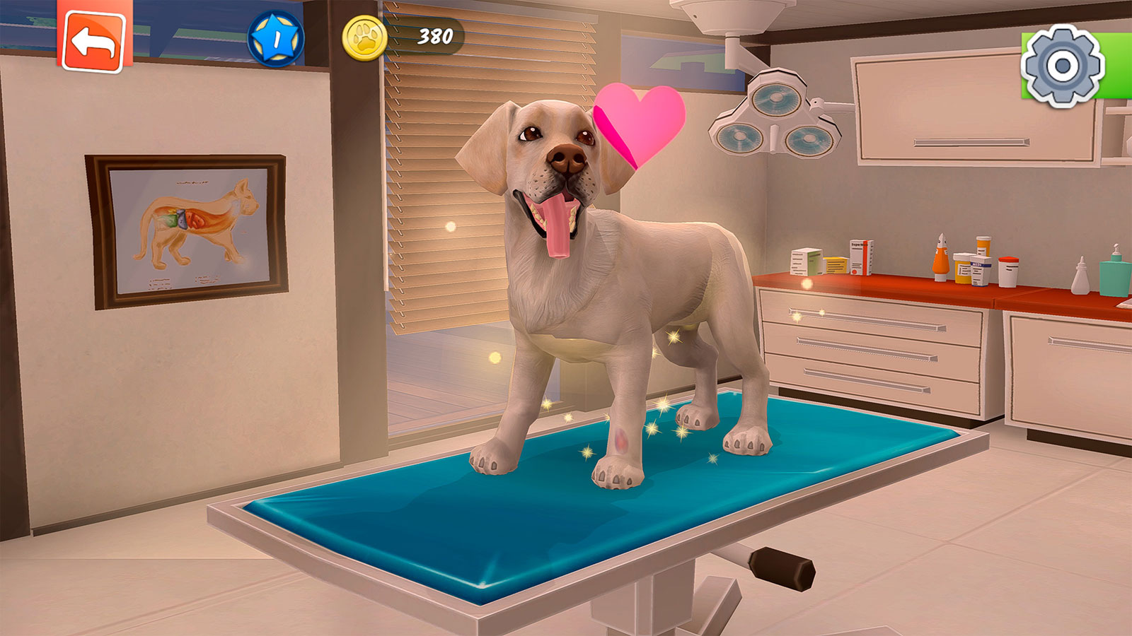 Animal Hospital PS5