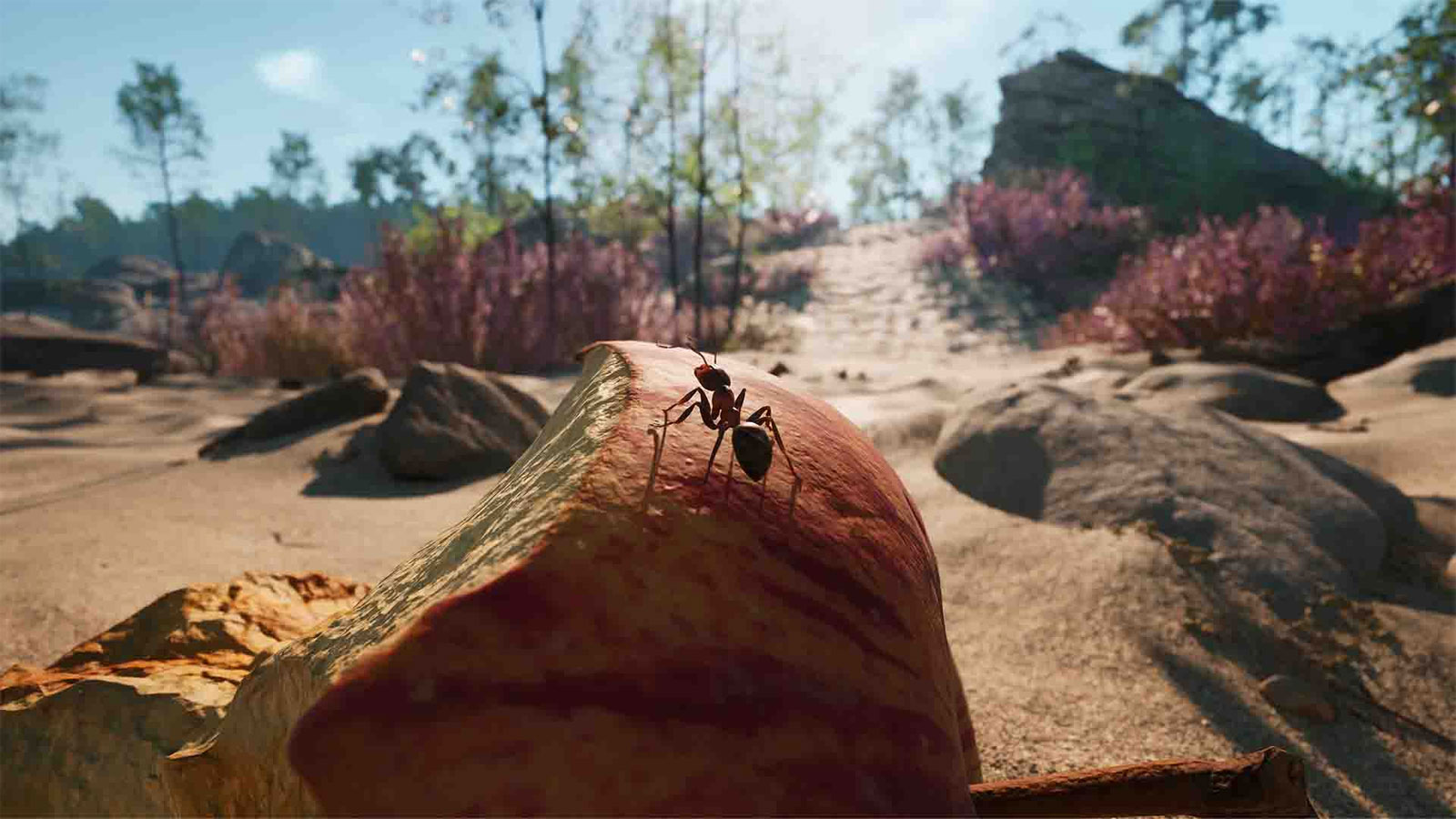 Empire of the Ants PS5