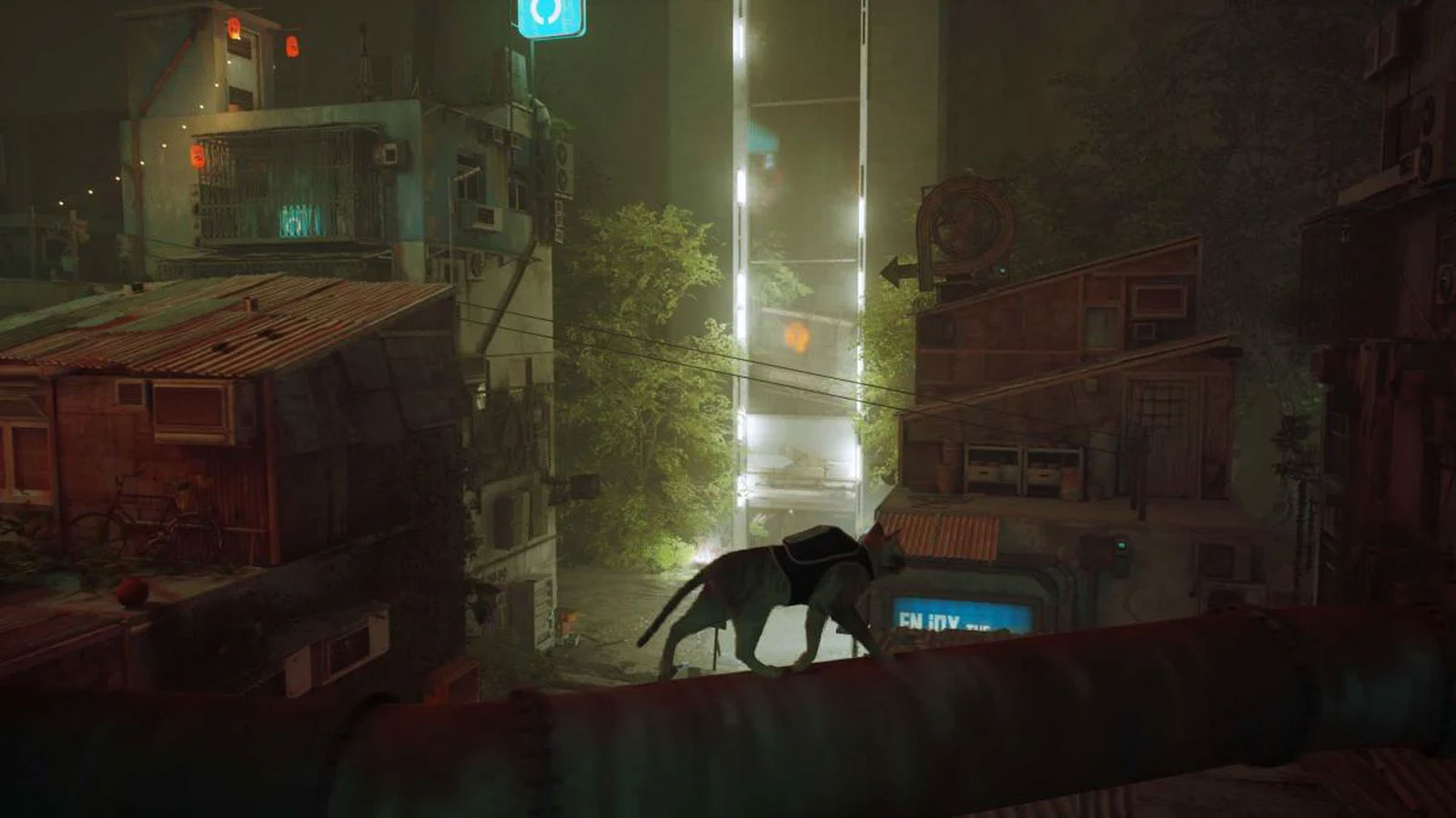 Stray PS5