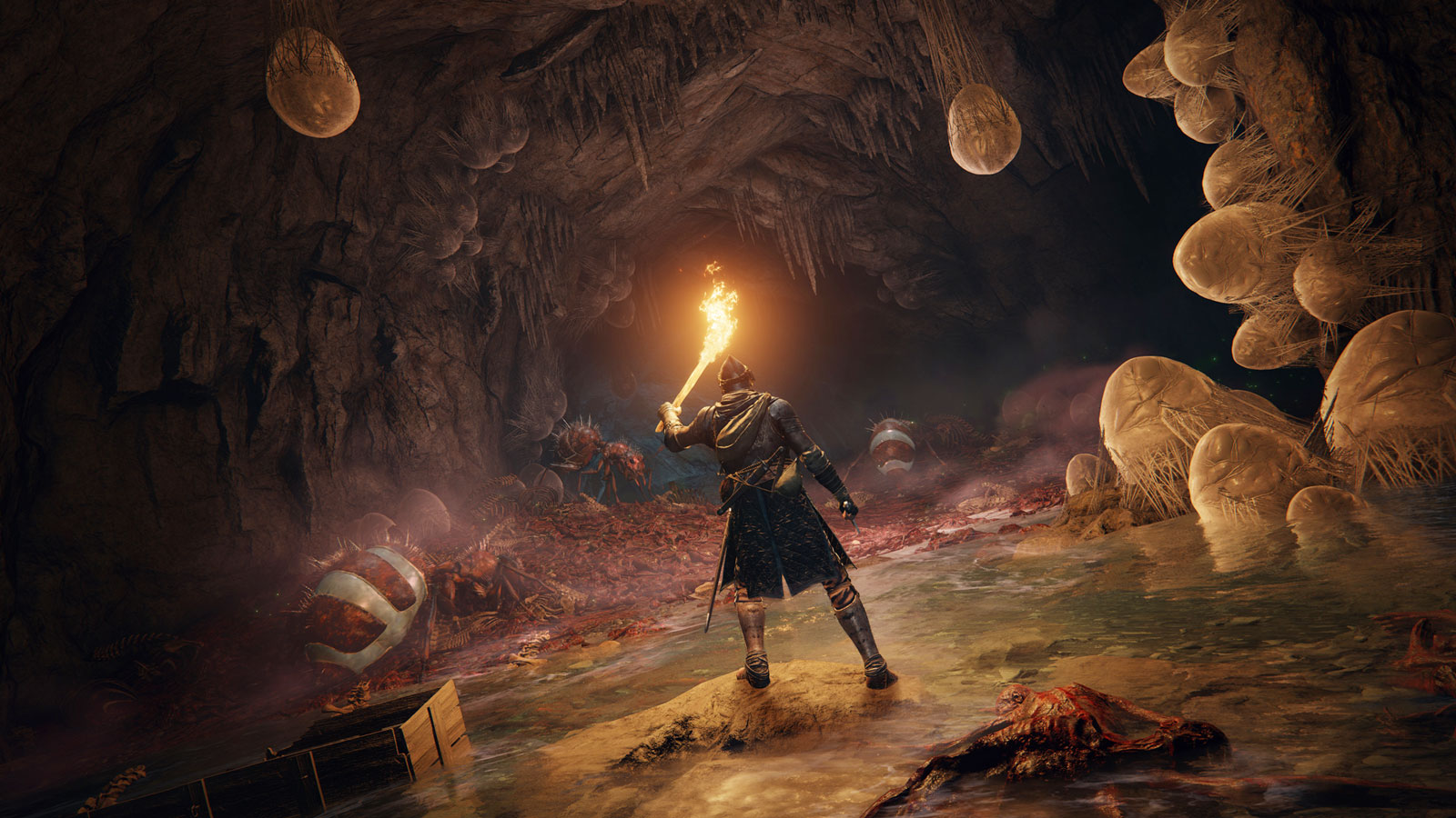Elden Ring PS5