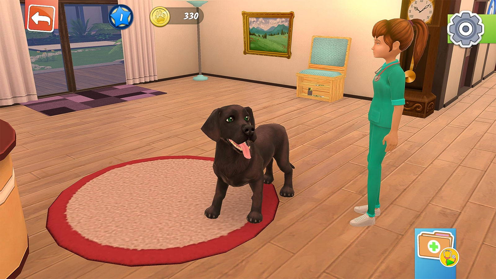 Animal Hospital PS5