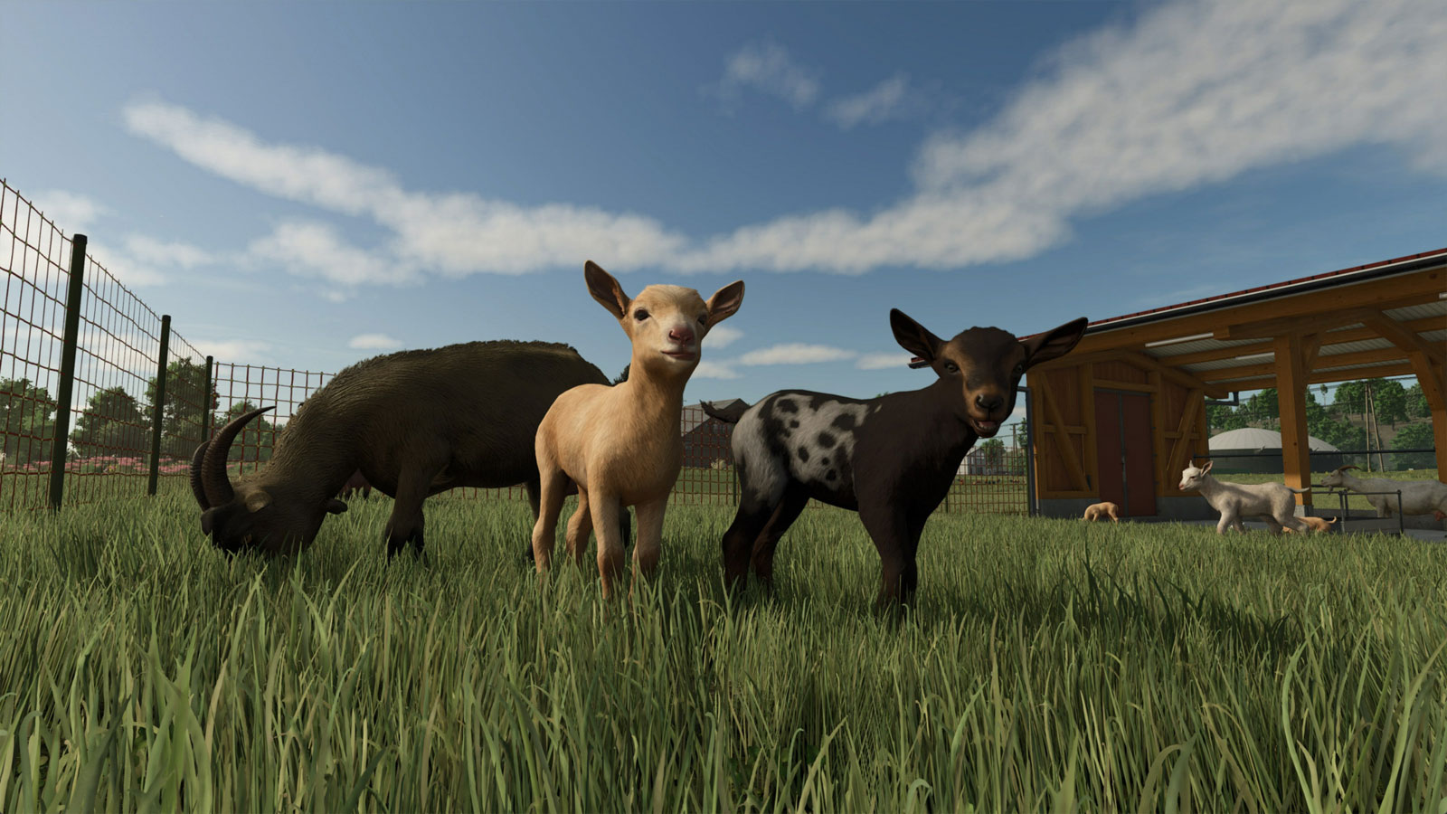 Farming Simulator 25: Highlands Fishing Edition PS5 CZ