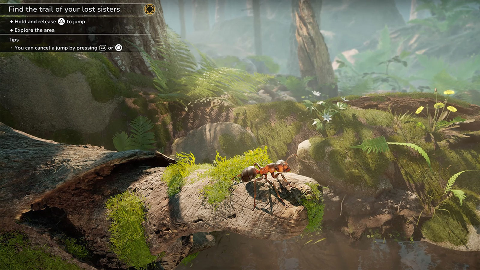 Empire of the Ants PS5
