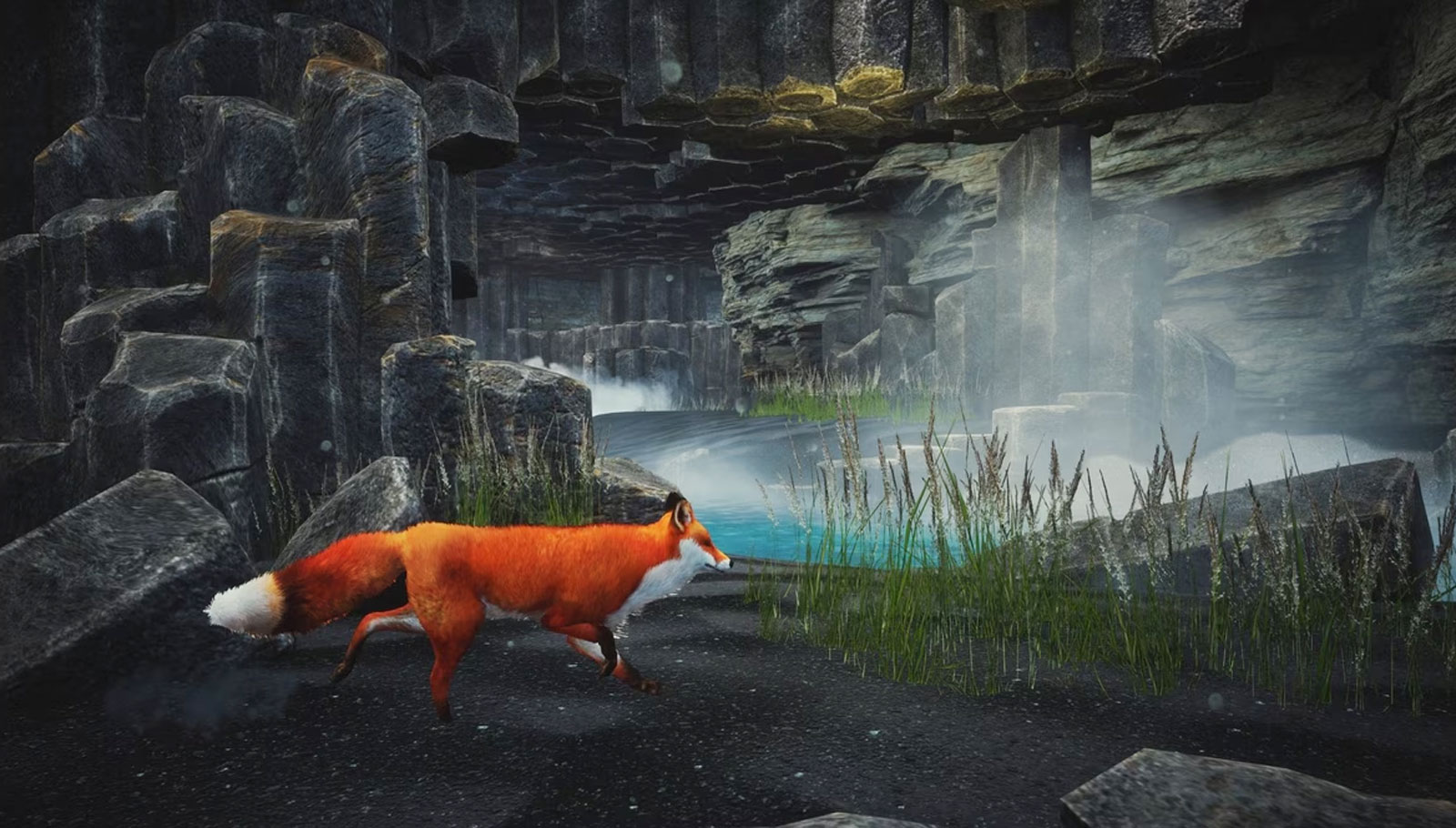 Spirit of the North 2 PS5