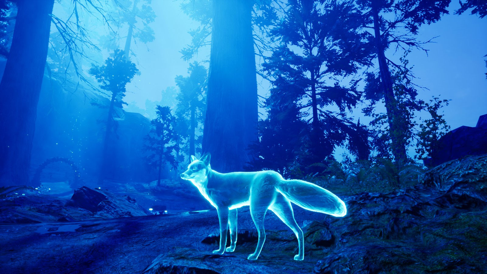 Spirit of the North PS4