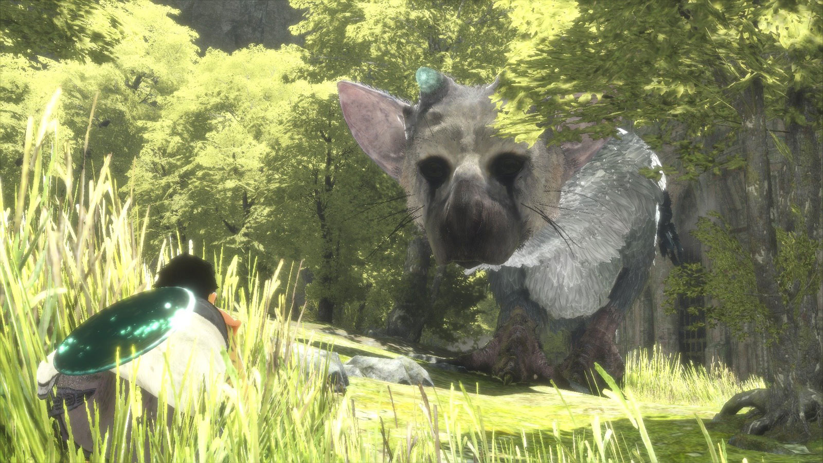 The Last Guardian PS4