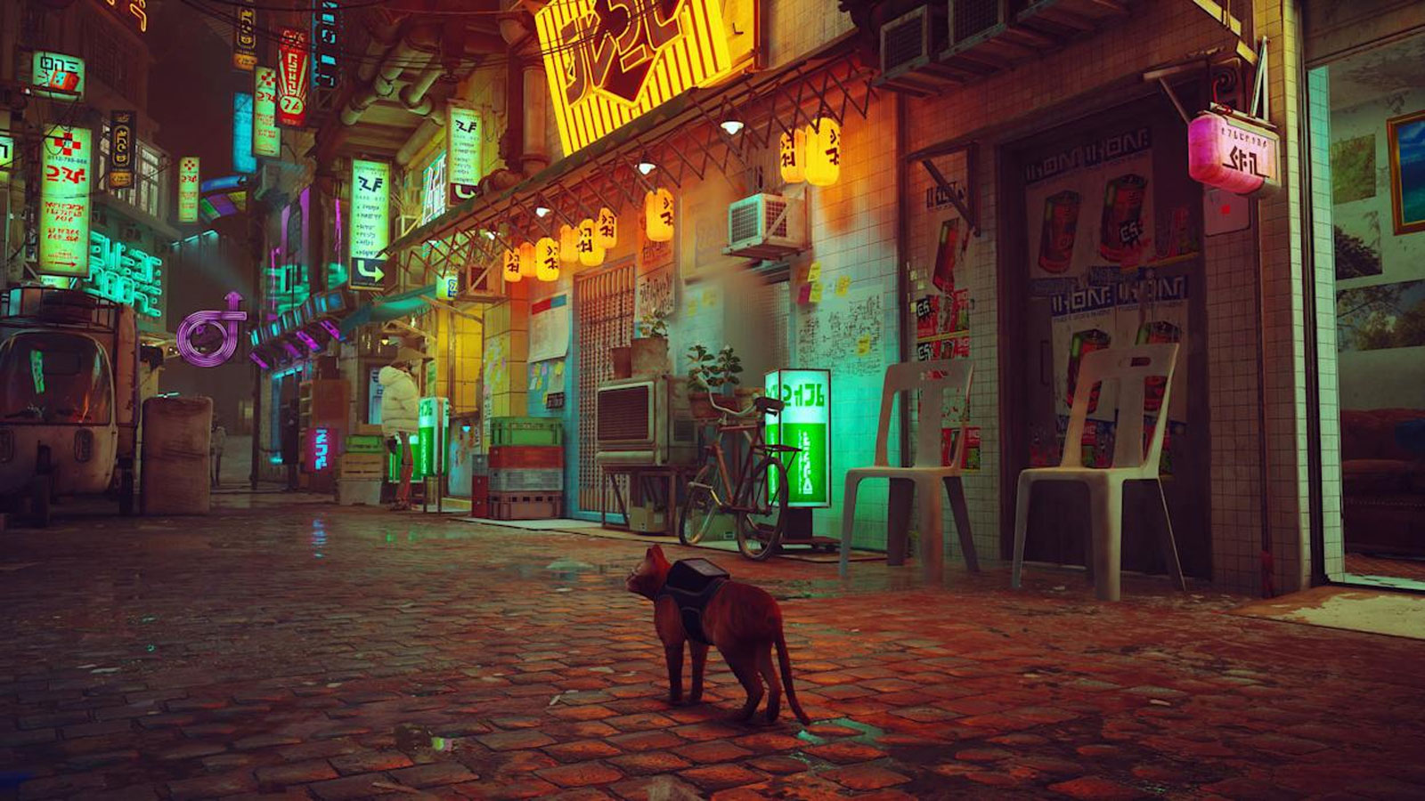 Stray PS5